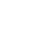 Bin Farouk